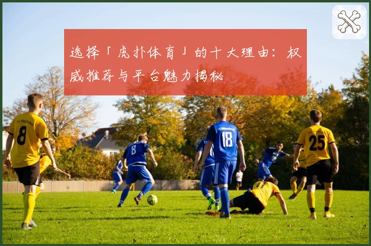 选择「虎扑体育」的十大理由：权威推荐与平台魅力揭秘