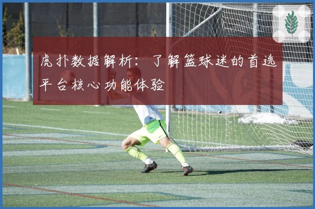 虎扑数据解析：了解篮球迷的首选平台核心功能体验