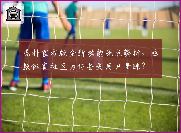 虎扑官方版全新功能亮点解析，这款体育社区为何备受用户青睐？