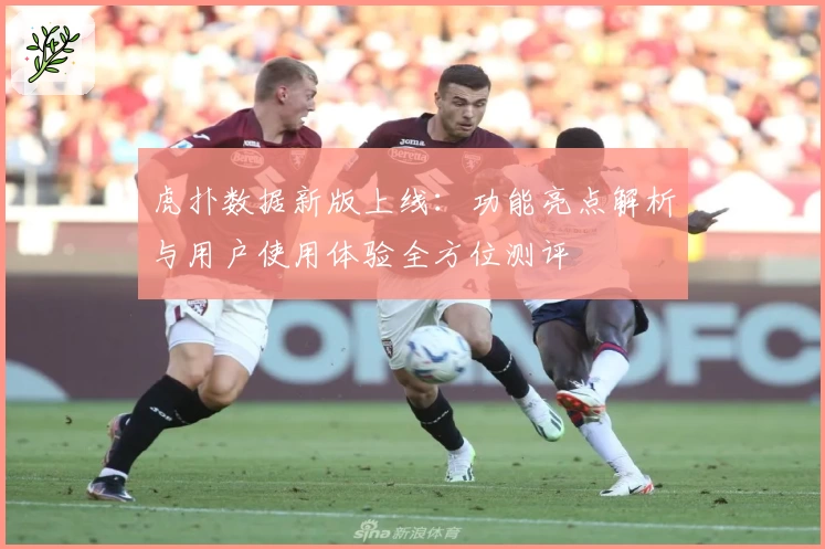 虎扑数据新版上线:功能亮点解析与用户使用体验全方位测评