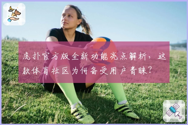 虎扑官方版全新功能亮点解析，这款体育社区为何备受用户青睐？